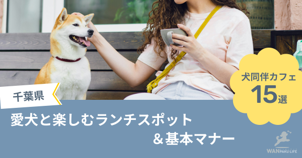 【千葉県】犬同伴カフェ15選！愛犬と楽しむランチスポット＆基本マナー