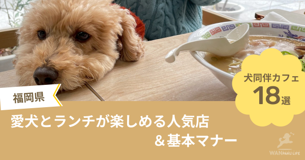 【福岡県】犬同伴カフェ18選！愛犬とランチが楽しめる人気店＆基本マナー