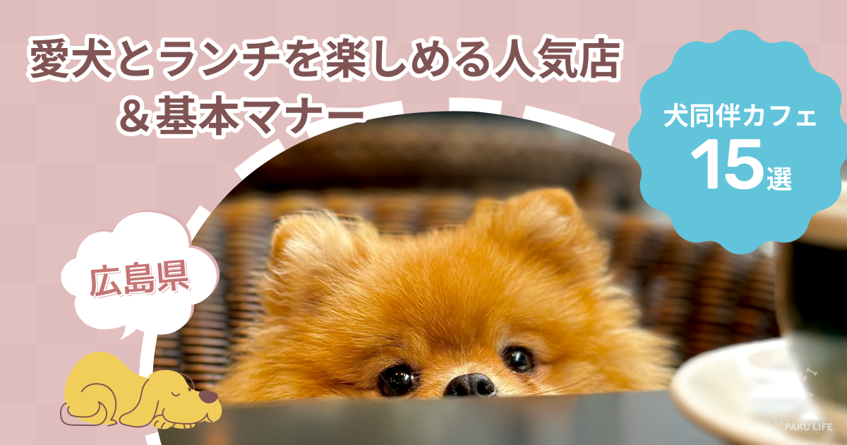 【広島県】犬同伴カフェ10選！愛犬とランチを楽しめる人気店＆基本マナー