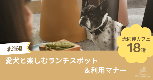 【北海道】犬同伴カフェ18選！愛犬と楽しむランチスポット＆利用マナー