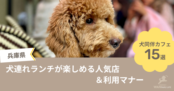 【兵庫県】犬同伴カフェ15選！犬連れランチが楽しめる人気店＆利用マナー