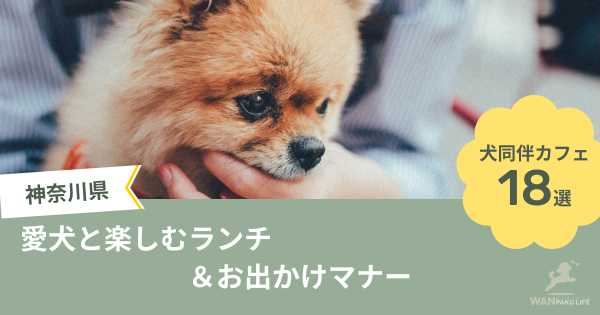 【神奈川県】の犬同伴カフェ18選｜愛犬と楽しむランチ＆お出かけマナー