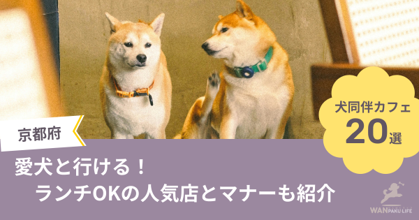 【京都府】犬と行けるカフェ20選｜ランチOKの人気店とマナーも紹介