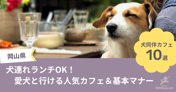 【岡山県】犬連れランチOK！愛犬と行ける人気カフェ10選＆基本マナー