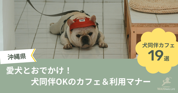 【沖縄県】愛犬とおでかけ！犬同伴OKのカフェ19選＆利用マナー