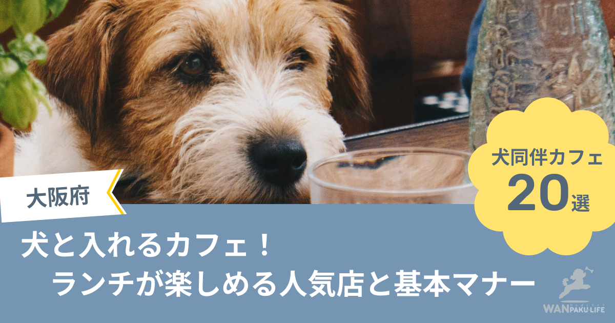 【大阪府】犬と入れるカフェ20選！ランチが楽しめる人気店と基本マナー