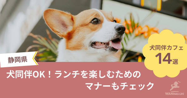 【静岡県】犬同伴OKのカフェ14選！ランチを楽しむためのマナーもチェック