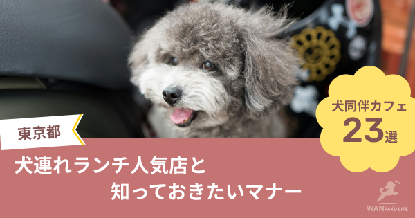 【東京都】犬同伴OKカフェ23選｜犬連れランチ人気店と知っておきたいマナー